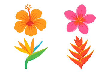Vibrant tropical flower set vector illustration. Hibiscus, plumeria, bird of paradise, heliconia. Exotic blossom collection for summer, floral decor, botanical design, paradise nature themes