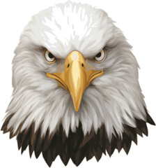 Eagle vector illustration