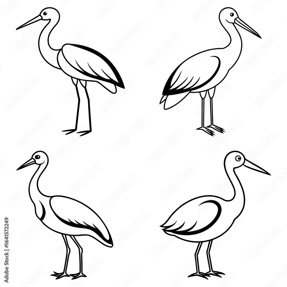 Poster illustration of four outlined storks in various poses against a white background design element vect