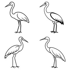 Four outlined drawings of herons in various poses standing on a white background in black and white style