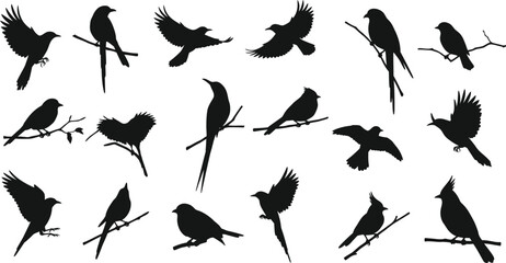 Obraz premium Collection of black bird silhouettes perched on branches and in flight white flying