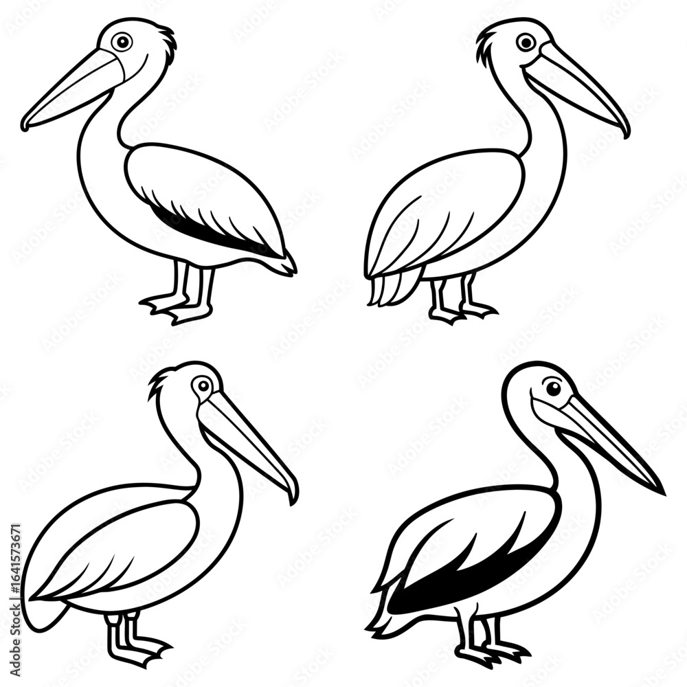 Poster four outlined pelicans standing in different poses showcasing their distinctive features and curved 
