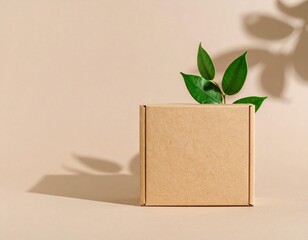 Eco-Friendly packaging cardboard box 
