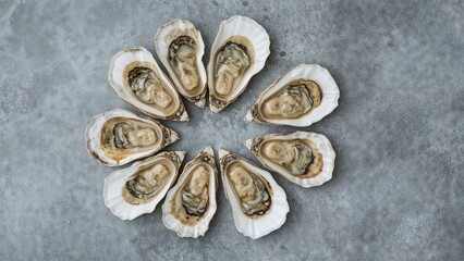 Vertical flat lay of oysters on a gray textured backdrop for culinary enjoyment