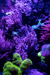 abstract aquarium water background with bubbles and light rays