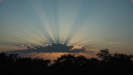 Naklejka premium Dramatic sun rays spreading from behind clouds in a wide angle perspective, illuminating the treetops and separating a cool blue upper sky from a richly colored warm horizon