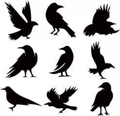 Black Crow Silhouette Vector.eps