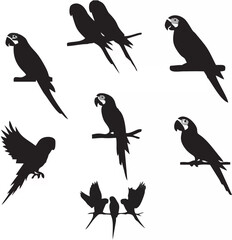 Bird Silhouettes Collection V...