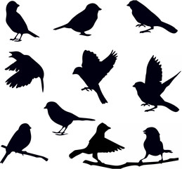 Eagle Silhouettes - Flying.eps