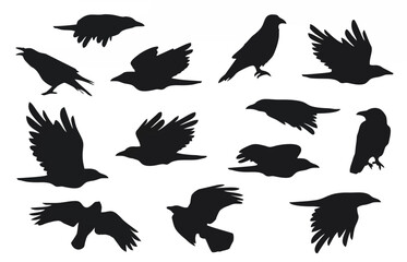 Flying Raven Silhouette Group...