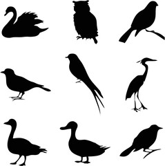 Elegant Bird Silhouette Vecto...