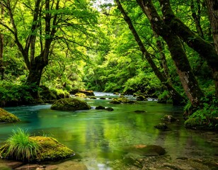 Obraz premium Lush river scene with clear water flows through a vibrant green forest