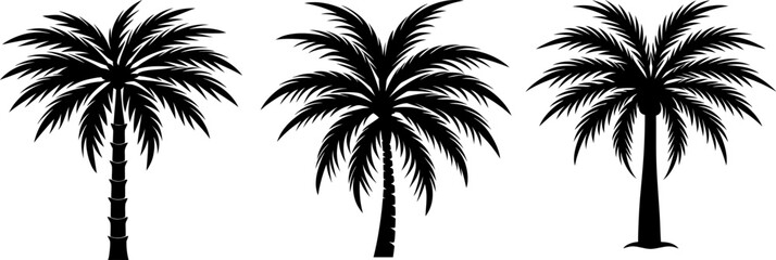 Obraz premium Coconut tree black silhouettes set, Set of coconut tree, coconut tree collections, Vector of coconut tree, coconut tree silhouette, coconut tree isolated on white background
