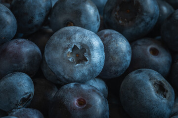 blueberries close up