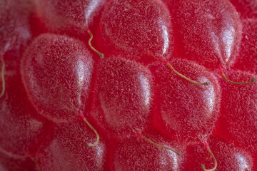 raspberry close-up
