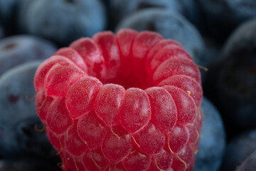 raspberry on a blueberry background
