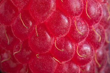 raspberry close-up