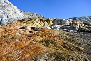 Mammoth Hot Springs Terraces