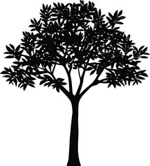 Obraz premium Silhouette of a lush tree with dense foliage a minimalist monochrome nature illustration a striking botanical graphic design element against a stark white background