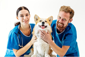 Veterinarians smiling with a happy corgi dog in a veterinary clinic, wearing scrubs and...