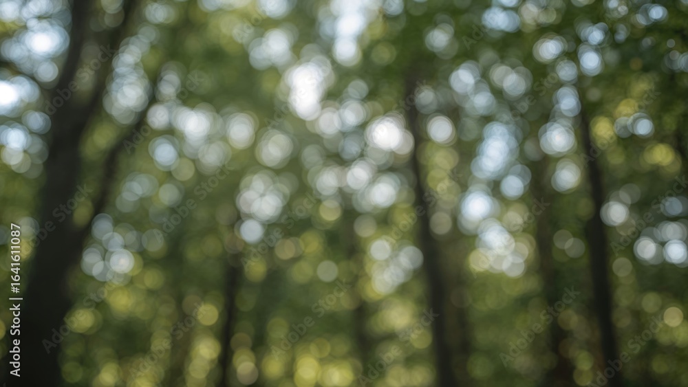 Poster summer-inspired abstract tree and light pattern with a soft bokeh effect for graphic design