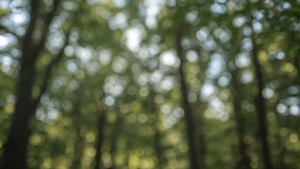 Summer-inspired abstract tree and light pattern with a soft bokeh effect for graphic design