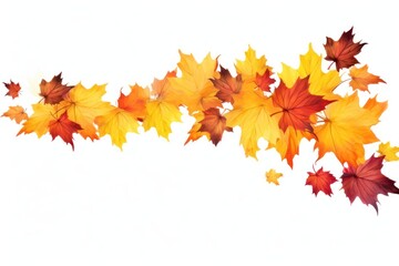 Autumn leaf leaves backgrounds maple.