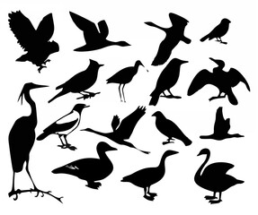 Bird Silhouettes Collection V...
