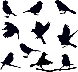 Bird Silhouettes Collection V...