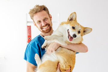 Male veterinarian in blue scrubs joyfully holding a corgi dog in a bright veterinary clinic,...