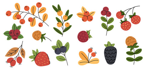 Cute cartoon set of berries and branches. Colorful hand-drawn collection with strawberries, blueberries, raspberries, blackberries, lingonberries, cranberries, rowanberries, sea buckthorn.