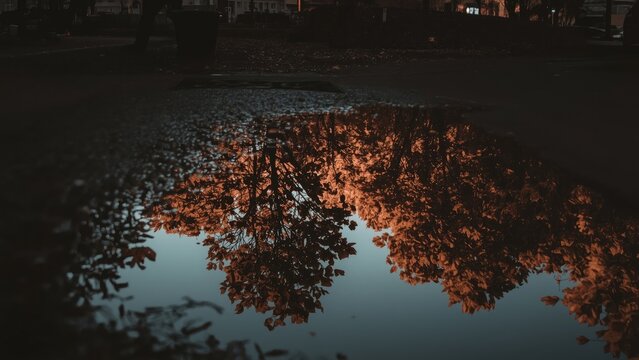 A rainy autumn scene with reflections of buildings and sky in a puddle on a pedestrian path, embodying the city's seasonal mood