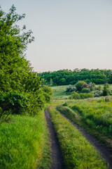 A scenic landscape with a winding dirt road leading through a grassy field, bordered by dense green...