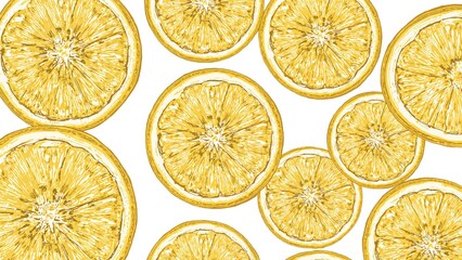Artistic drawing of citrus fruit sections with seeds on a simple white backdrop