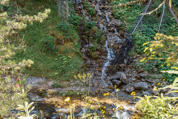 Alpine stream