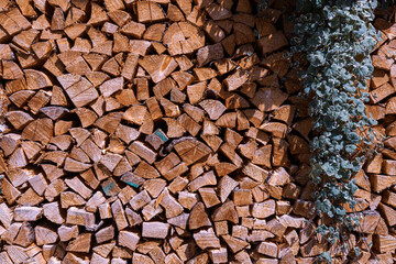 Firewood Texture Close-up
