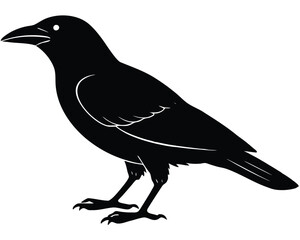 Obraz premium Crow Silhouette