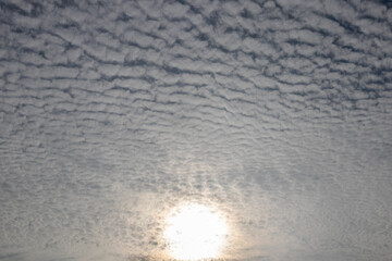 Sun shining through a textured blanket of altocumulus clouds