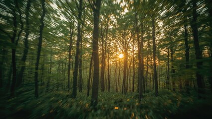 Fototapeta premium Abstract nature-themed background with smooth blur, trees, and sunlit foliage