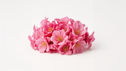 Fototapeta premium Bunch of Pink Floral Arrangements on a Light Background