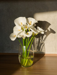 Elegant white calla lilies in a clear glass vase, illuminated by warm sunlight, casting soft shadows on a minimalist interior wall.