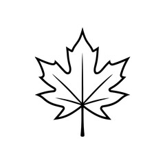 Obraz premium Simple maple leaf art on transparent background