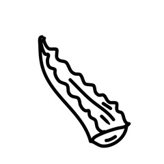 Aloe vera doodle