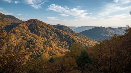 Obraz premium Magnificent fall foliage glowing in warm, gentle light. Soothing and peaceful nature scene highlighting the transition of seasons. Great choice for calming desktop backgrounds. Unveil the allure of