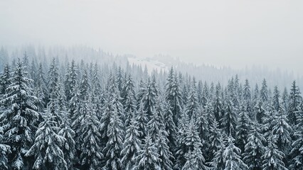 Chilly forest setting with snow-laden pines and a holiday mood