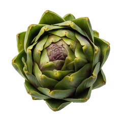 Fresh green artichoke, a vibrant vegetable with edible flower buds, perfect for healthy eating and culinary creativity on transparent background