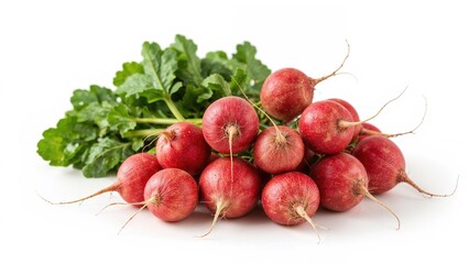 Colorful watermelon radishes, fresh and organic, isolated with green leaves