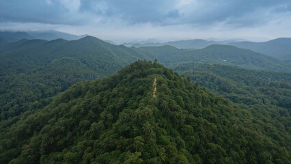Fototapeta premium Panoramic drone image highlighting a dense woodland valley with cliffs and trekking routes