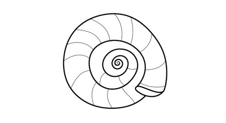 Obraz premium Elegant ammonite shell outline illustration perfect for science education materials or striking minimalist designs, inspiring natural curiosity and artistic expression