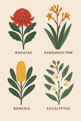 Flat vector illustration of four Australian native plants — Waratah, Kangaroo Paw, Banksia, and Eucalyptus — in a botanical collection on a beige background